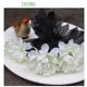 thumbnail image 1 of Dailihua artificial de una sola rama para decoración del hogar, rama única negra, decoración de Halloween, flor falsa de dailihua para boda, 1 of 4