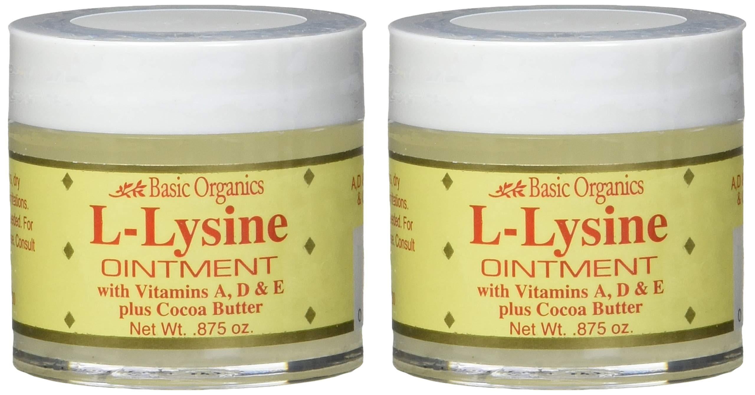 Basic Organics LLysine Lip Ointment, 0.875 oz (2 Pack) 0.875 Ounce