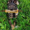thumbnail image 3 of CBFFDC Dog Training Toy Reflective Dog Training Toy Multipurpose Tear Resistant Interactive Pet Training Toy Pet Supplies, 3 of 6