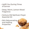 thumbnail image 2 of Plant Therapy 30mL Essential Oil, 1 Ounce, Frankincense Carterii, 2 of 7