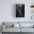 thumbnail image 4 of Canvas Wall Art - Lotte Gronkjar 'Old Poppies' Wall Art for Living Room, Bedroom, or Office Décor by Trademark Fine Art - 30 x 47 Inches, 4 of 4