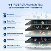 APEC Top Tier Alkaline Mineral Ph+ Ultra Safe Reverse Osmosis Drinking Water Filter System (ESSENCE ROES-PH75)