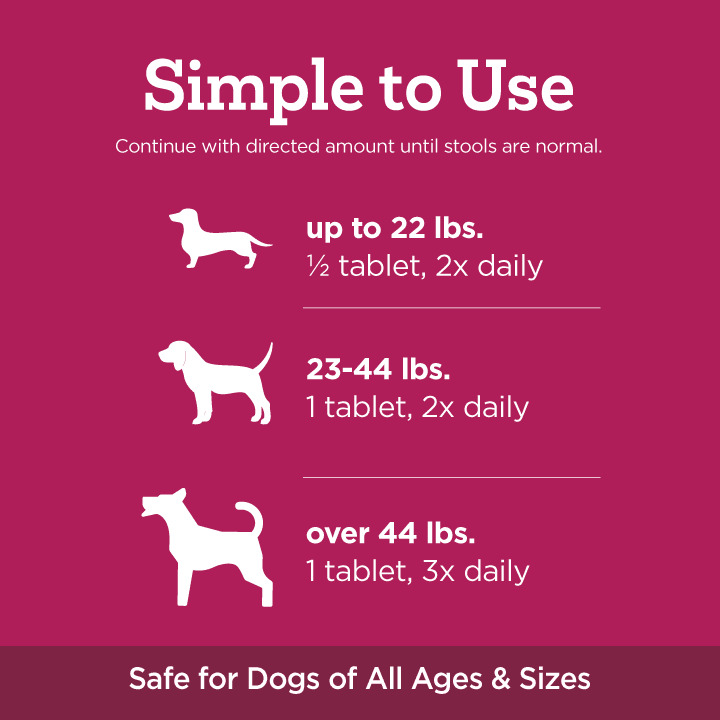 aozi dog wet food Aozi Organic Adult Cat Can Food 430g  Pettr Shop