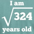 thumbnail image 3 of CafePress - 18Th Birthday Square Root T Shirt - Mens Comfort Colors Shirt, 3 of 5