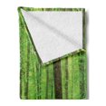 thumbnail image 2 of Forest Soft Flannel Fleece Blanket, Spring Forest in a Sunny Day Fresh Soft Colors Like a Dream Leaf Peace Theme Print, Cozy Plush for Indoor and Outdoor Use, 50" x 60", Green Brown, by Ambesonne, 2 of 5