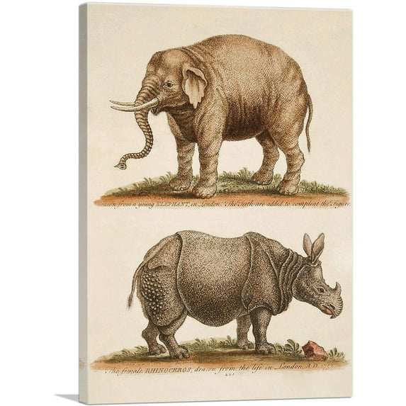 ARTCANVAS Elephant and Rhinoceros Canvas Art Print by Sydenham Edwards - Size: 18" x 12" (1.50" Deep)