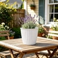 thumbnail image 4 of Large Round Faux Woven Rattan Plastic Planter with Matching Drainage Tray, Breathable Shatterproof Flower Pot for Succulents Houseplants Indoor Decor, White, 4 of 6