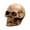 A, variant on 0.8 in. Halloween Scary Skulls — Bone Textures with Eerie Shadows, Halloween Decorations for Snack Tables, Dessert Stations & Halloween Party Setups for Halloween with spooky setups