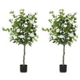 Uforic 2Pack 4.1FT Artificial Camellia Tree With a LED string light