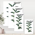 thumbnail image 4 of Designart ' Little White Flowers With Ancient Plant ' Farmhouse Canvas Wall Art Print, 4 of 4