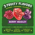Black Forest Juicy Burst Fruit Snacks, Berry Medley, 0.8 Ounce Pouches (22 Count) BE40