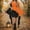 010 Orange, variant on Women Halloween Costume Gothic Witch Dress with Batwing Vintage Sleeve Skull Print Flowy Cosplay Party Outfit