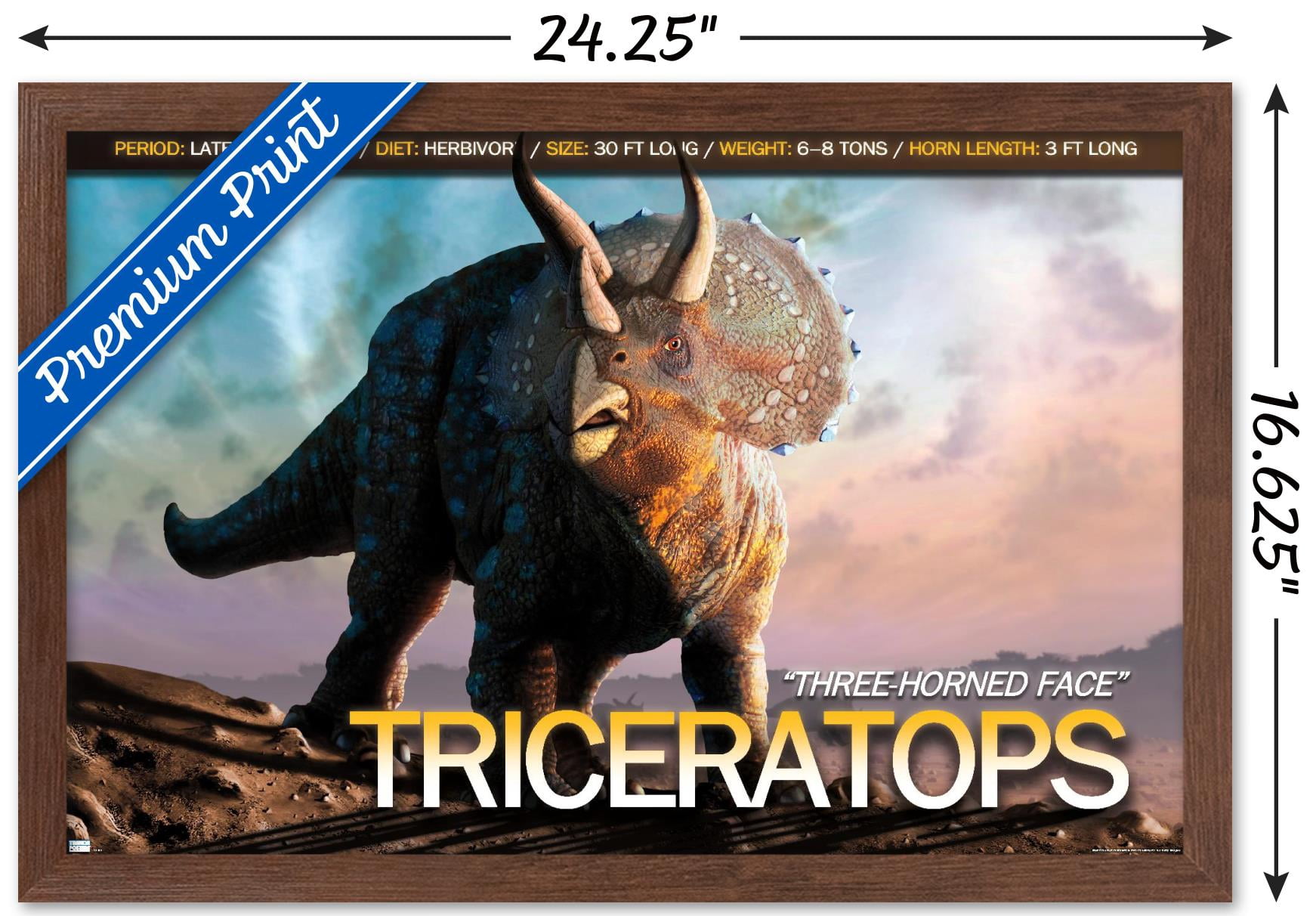 Dinosaurs - Triceratops Wall Poster, 14.725" x 22.375", Framed