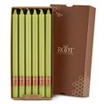 thumbnail image 2 of Root Unscented Arista Dinner Candles, 12-Inch Tall, Box of 12, Willow, 2 of 3