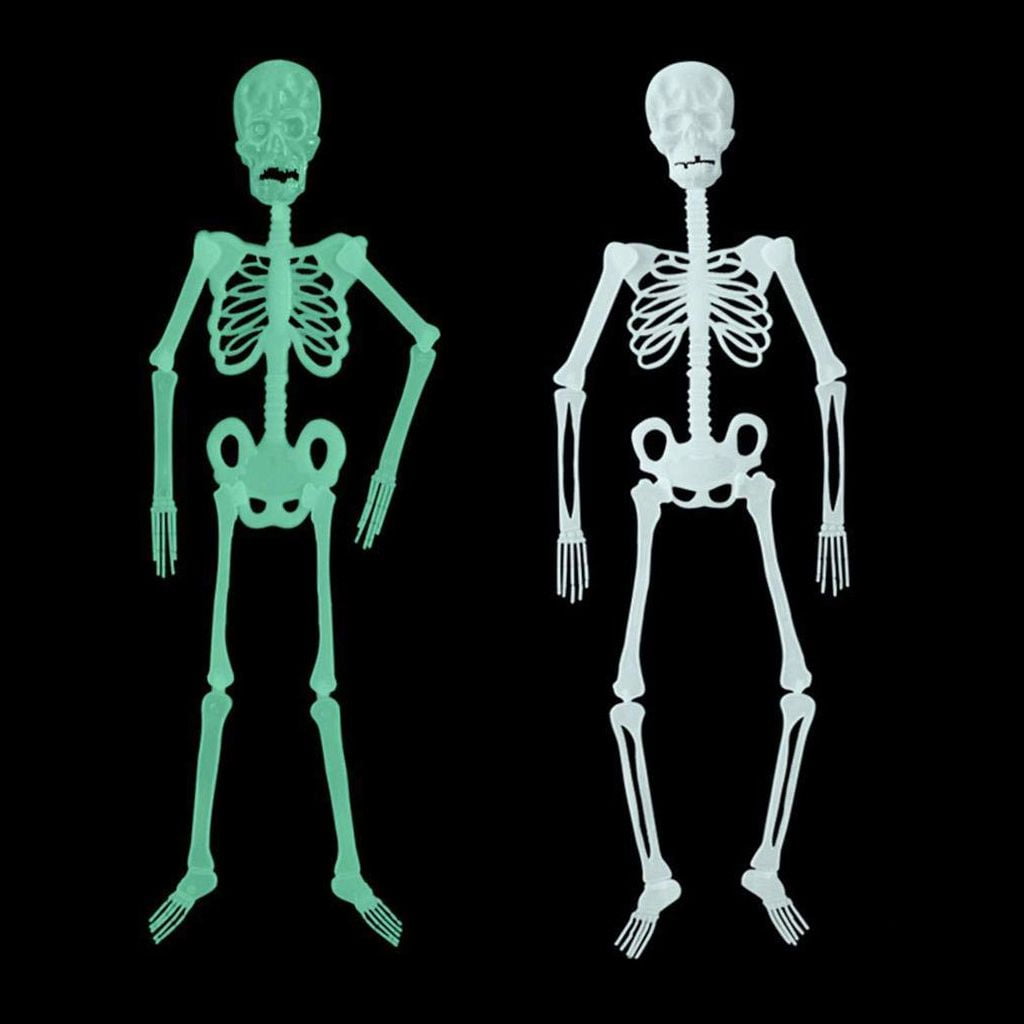 Spencer 4 Pack 5 foot Halloween Skeleton Decoration Life Size Realistic 