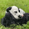 thumbnail image 3 of Juguete Conductual Snuggle Puppy Smart Pet Love Beige, 3 of 8
