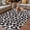 Black, variant on Leopard Printed Outdoor Rug for Patio/Deck/Porch, Non-Slip Large Area Rug 4 x 6 Ft, Farmhouse Vintage Animals Black Grey Indoor Outdoor Rugs Washable Area Rugs, Reversible Camping Rug Carpet Runner