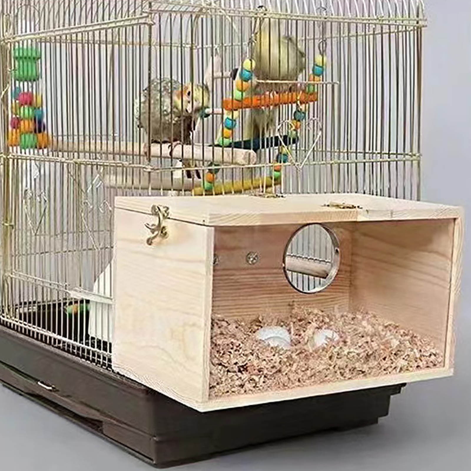 Bird for Small Birds - Transparent Wood Breeding for Budgies Parrots Lovebirds Finches Cage Accessories