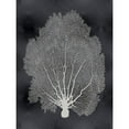 thumbnail image 3 of Miller, Melonie 12x14 Black Modern Framed Museum Art Print Titled - Sea Fan on Black II, 3 of 5