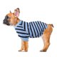 thumbnail image 3 of unbranded Ropa Para Mascotas Camisa Azul De Transpirable Ideal Para Perro Pequeño, 3 of 8