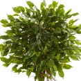 thumbnail image 2 of Nearly Natural 4 ft. Ficus Artificial Topiary Tree, UV Resistant (Indoor/Outdoor), 2 of 5
