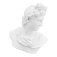 thumbnail image 3 of unbranded 1Pcs Statue de Buste Grec Résine Blanche 11.8x7.9x2.4in pour Déco de Porche, 3 of 8