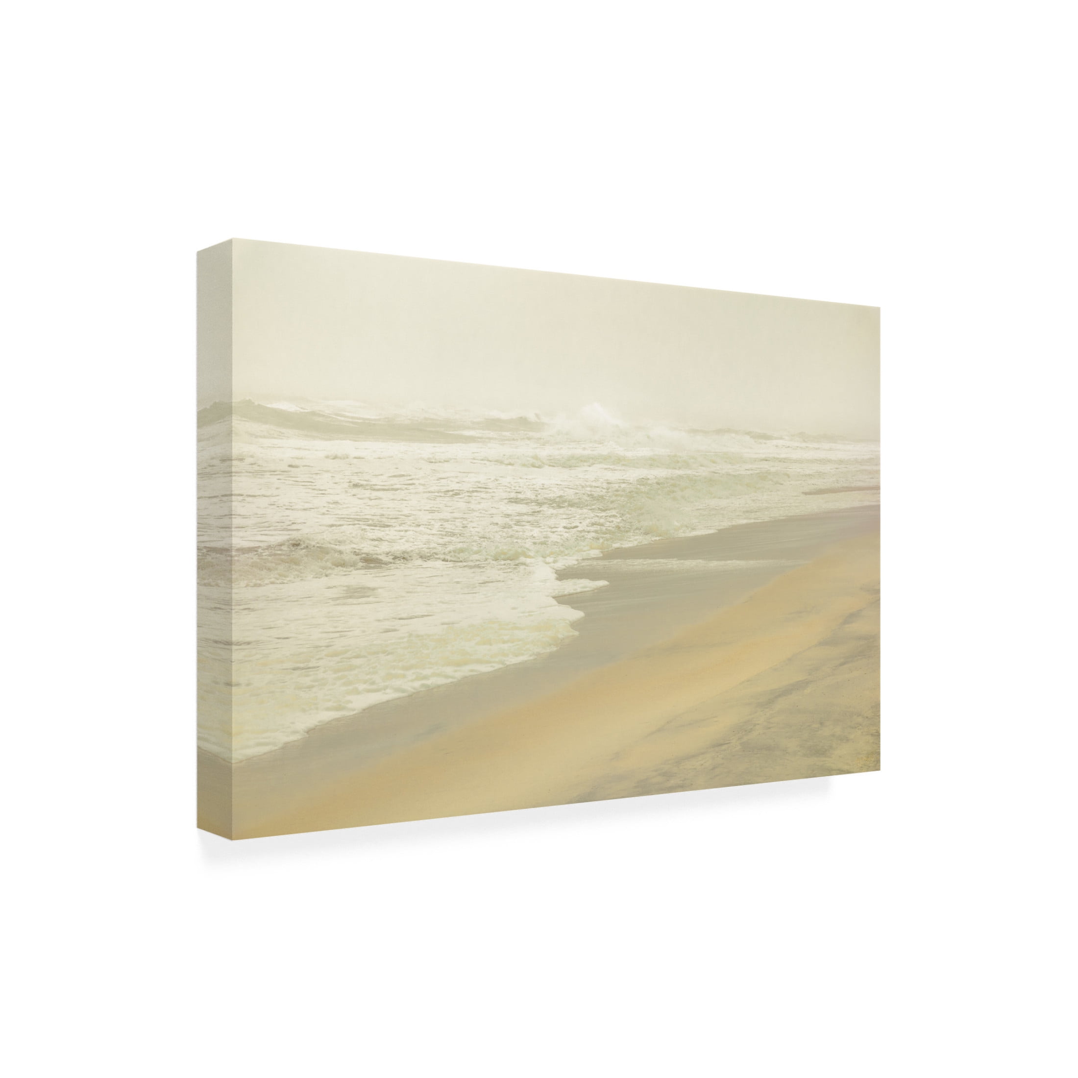 Canvas Wall Art - Life BeautifuLEE 'The Haze of Dreams' Wall Art for Living Room, Bedroom, or Office Décor by Trademark Fine Art - 24 x 16 Inches