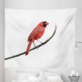 thumbnail image 1 of Cardinal Tapestry, Northern Bird Winter Animal Snowy Nature Branch Foliage Photo, Fabric Wall Hanging Decor for Bedroom Living Room Dorm, 5 Sizes, Scarlet White and Dark Brown, by Ambesonne, 1 of 1
