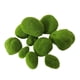 thumbnail image 4 of Simulación de piedra de musgo verde, planta de pared, decoración de bonsái, piedra de musgo falsa para interiores, micropaisaje, adornos DIY, 20 piezas, 4 of 5