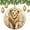 pattern-3064, variant on Christmas Ornaments Zebra Horse Black White Animal Custom 3" Ceramic 2024 Xmas Ornament Xmas Ornament for Family Sister Friends Cute Zebra Painting Ceramic Ornament