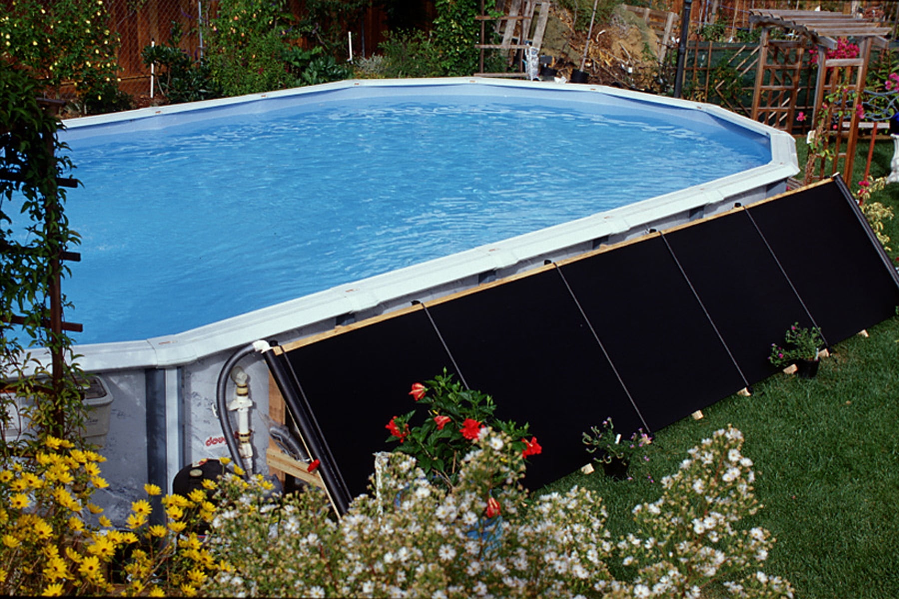 fafco solar bear solar pool heater