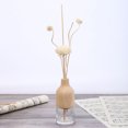 thumbnail image 2 of unbranded 50Pack Diffusers Sticks Rattan Reed Sticks for Aromatherapy Diffusion Home Users Diy Enthusiasts Ivory Color, 2 of 8