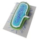 thumbnail image 3 of Modelo de bacteria 3D realista Modelo de célula Modelo de enseñanza Biología Modelos de células de enseñanza Mostrar modelos de células de bacterias Modelos anatómicos de células de bacterias, 3 of 8