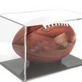 thumbnail image 4 of Vitrine de Protection pour Vitrine de Comptoir en Acrylique Transparent pour Figurines d'Action, 4 of 4