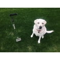 thumbnail image 4 of PooperPicker for Easy And Fast Pickup of Your Pet's Waste, 4 of 5