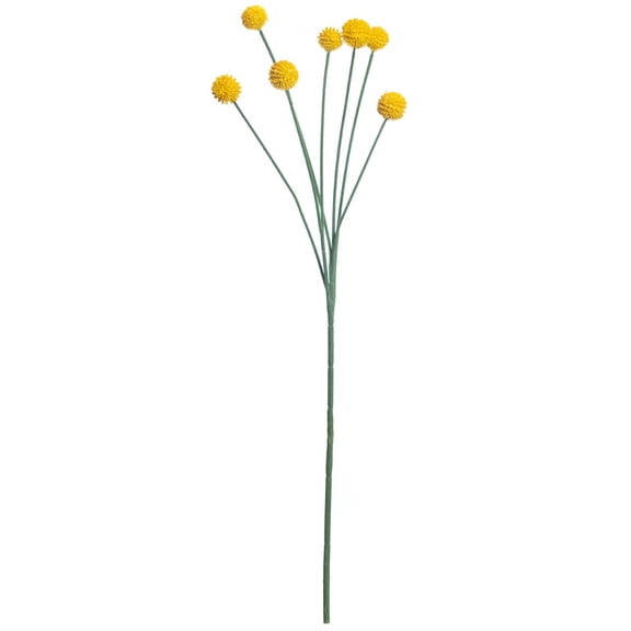 16 Pack: Yellow Billy Ball Stem by Ashland