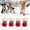B, variant on Durable All-Weather Pet Shoes for Outdoor Walks and Runs with - Soles and Reflective Strips Suitable for Cats and Dogs