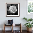 thumbnail image 3 of Art.com Sweet Rose II Photo by Nicole Katano, Brown Frame Wall Art, 38" x 38", 3 of 5