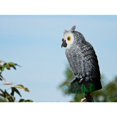 thumbnail image 5 of Leurre de Hibou Épouvantail Naturel - Répulsif de Nuisibles Hibou, 5 of 5
