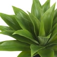 thumbnail image 3 of Nearly Natural Agave Silk Plant Green, 3 of 3