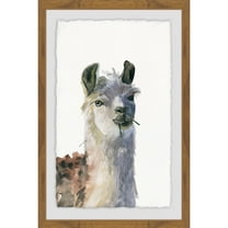 Chewing Llama Framed Painting Print