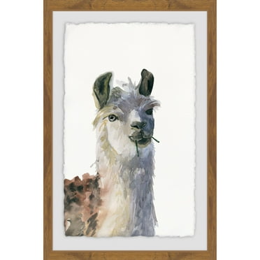 Chewing Llama Framed Painting Print