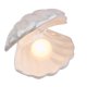 thumbnail image 1 of Shell Pearl Light-Ceramic Bedside Shell Lamp Portable Light Decor (Blanco) Tmvgtek Iluminación del hogar multifuncional, 1 of 9