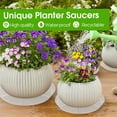 thumbnail image 6 of Manunclaims 10 Packs Flower Pot Trays - 6/8/10/12inch Clear Plant Saucers Flower Pot Trays, with 10Pcs Plant Labels, Plastic Plant Soil Collection Saucer Drip Trays for Indoor Outdoor Plants Garden, 6 of 8