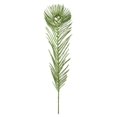 thumbnail image 1 of Pique Plume de Paon Vert Citron Vert 12 Po avec Paillettes Vert Citron Vert - Lot de 5, 1 of 1