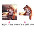 thumbnail image 4 of 5D Embroidery Needlework Stitchwork Drawing Tiger picture Tiger Picture Rhinestone Diamond Painting Cross-stitch Needlework Decor, 4 of 8