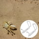 thumbnail image 4 of Grabber Para Cangrejos, Herramienta De Alcance Fácil De Transportar, Larga Vida útil Para Cangrejos, 4 of 7