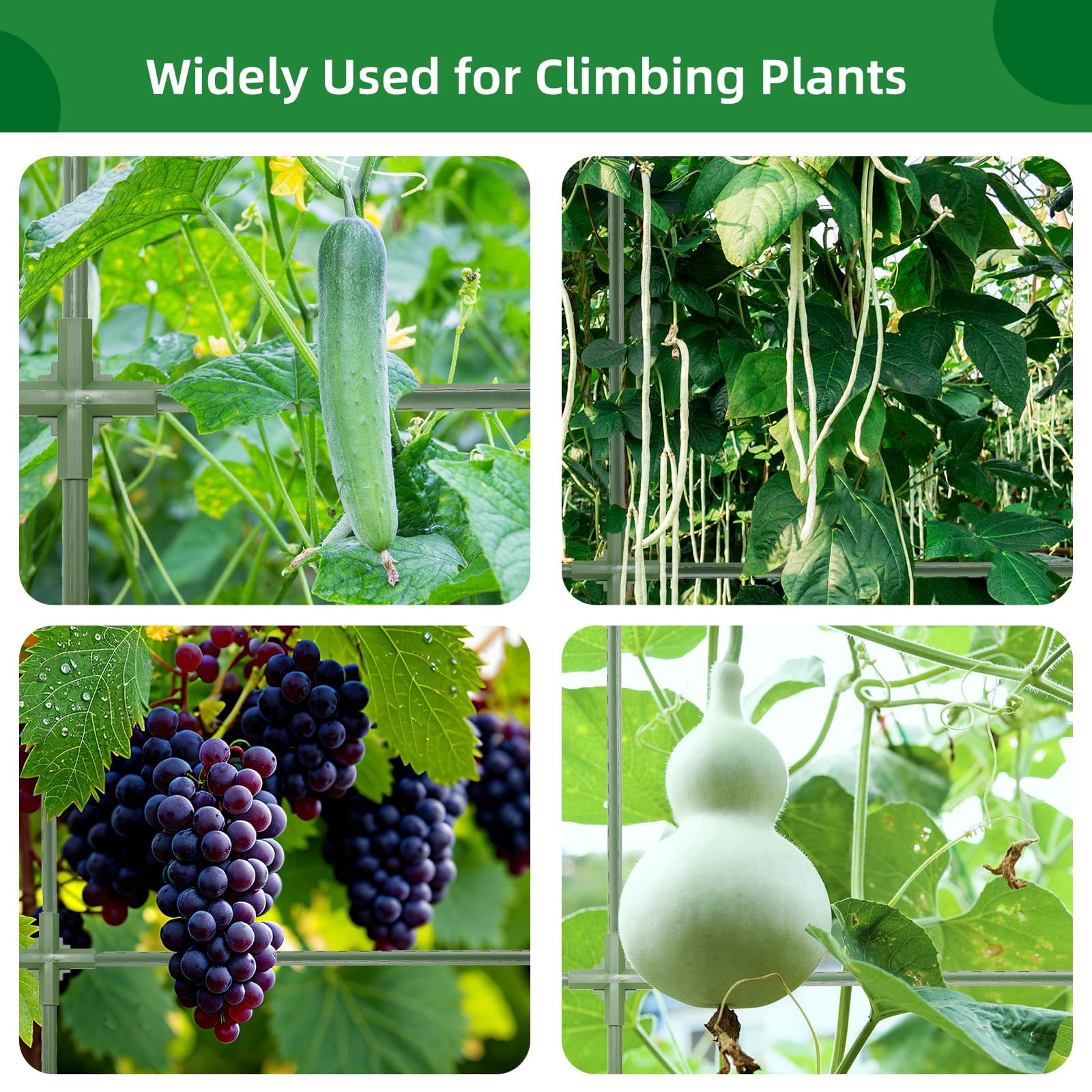 65"*50" Cucumber Trellis For Raised Bed Tall Metal Arch Garden Climbing Plants Outdoor Vegetables Plant Support Peas Fruit Flower Grape Tomato  Bean