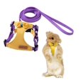 thumbnail image 1 of Rabbit Harness And Leash Adjustable Bunny Harness Escape Proof For Walking Runnig Hiking Camping Outdoor Cute Small Animal Harness Leash Set (Small Yellow), 1 of 6