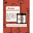 thumbnail image 2 of Hongo Lyon's Mane de 100 gr Apoya la claridad mental, 2 of 5